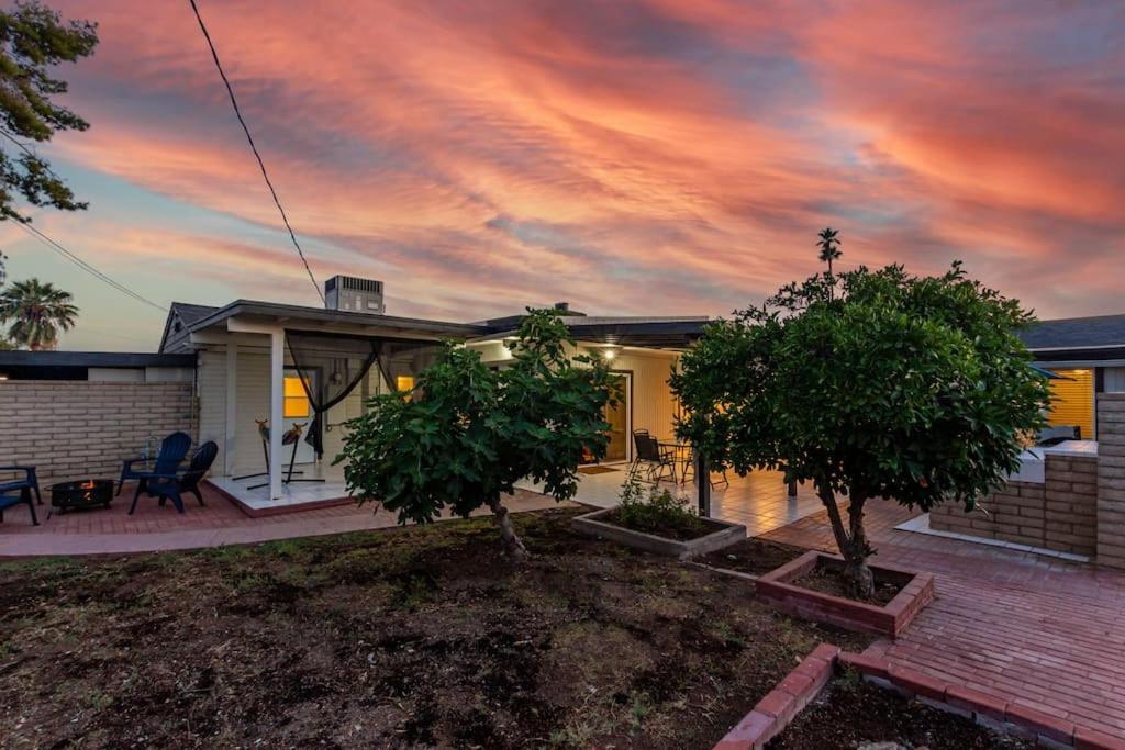 New Midtown Modern Studio With Backyard Phoenix Dış mekan fotoğraf