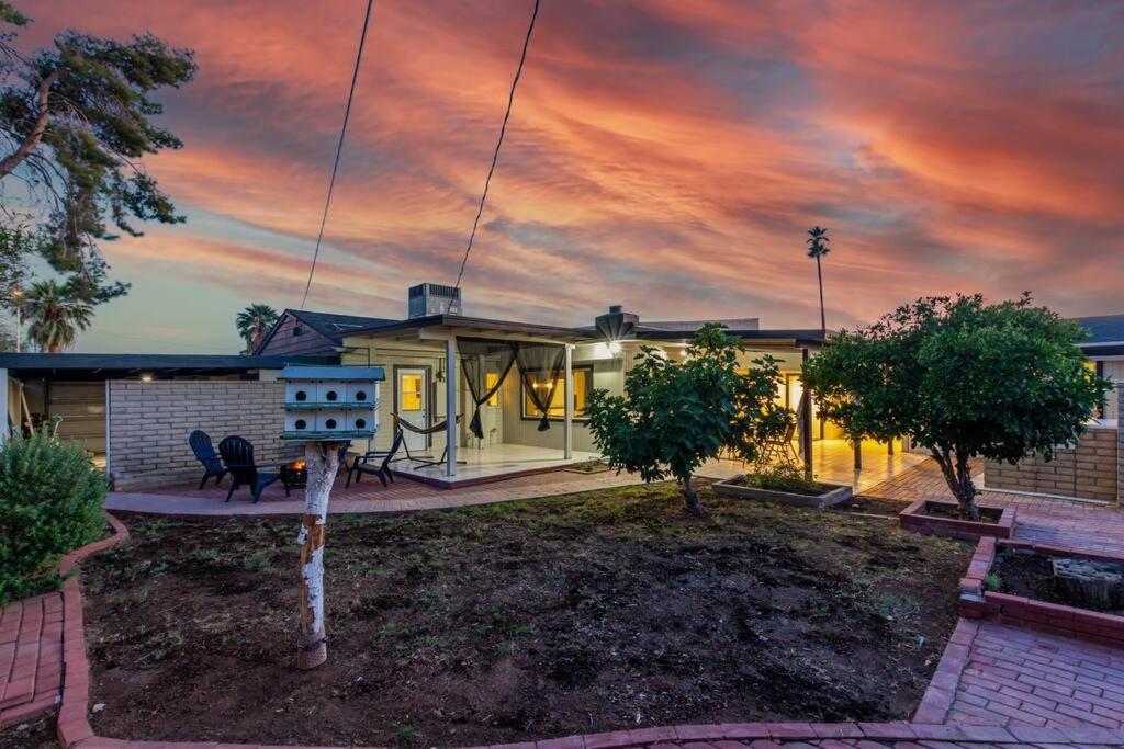New Midtown Modern Studio With Backyard Phoenix Dış mekan fotoğraf