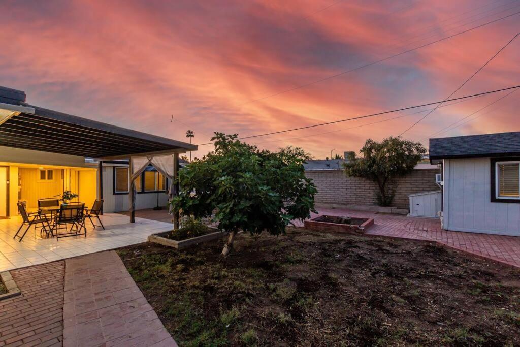 New Midtown Modern Studio With Backyard Phoenix Dış mekan fotoğraf